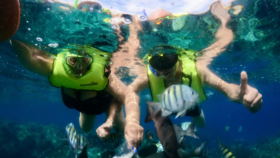 Snorkelling