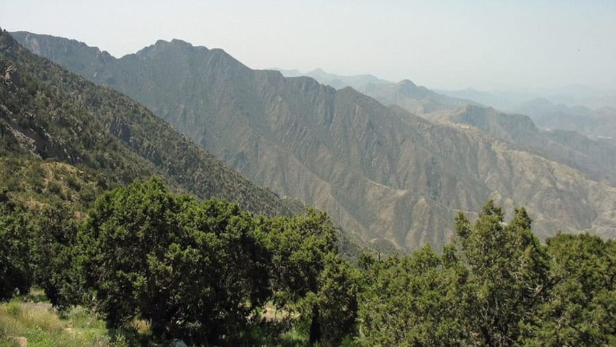 Al Soudah