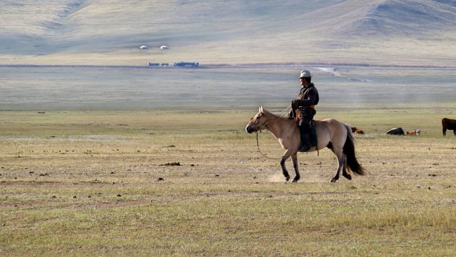 Horse ride at Khustain Nuruu National Park, Mongolia
