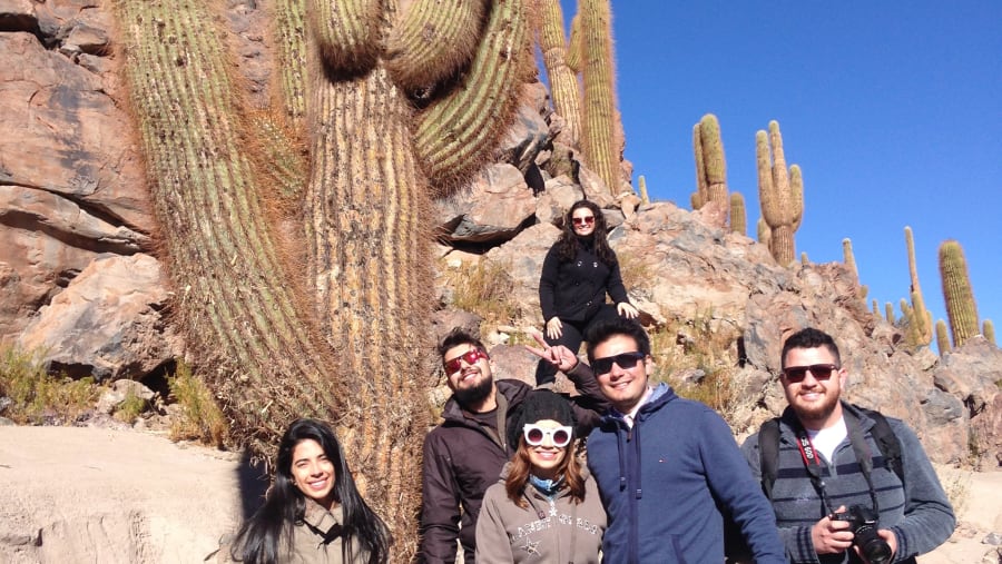 Cactus Valley