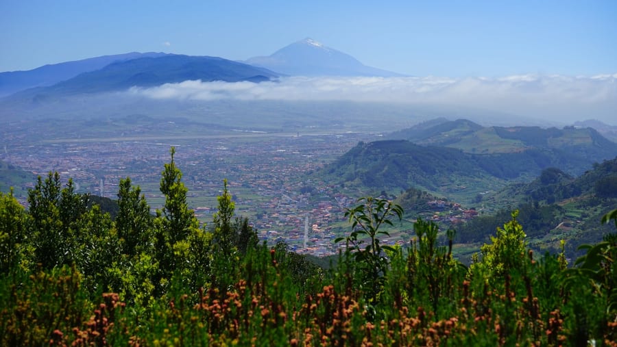 Enjoy exploring La Carmen