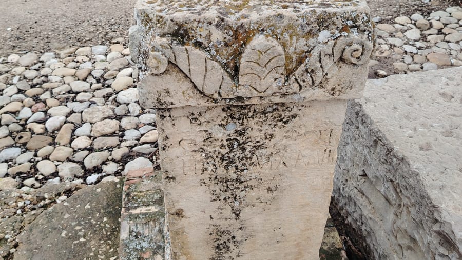 Roman cunic language