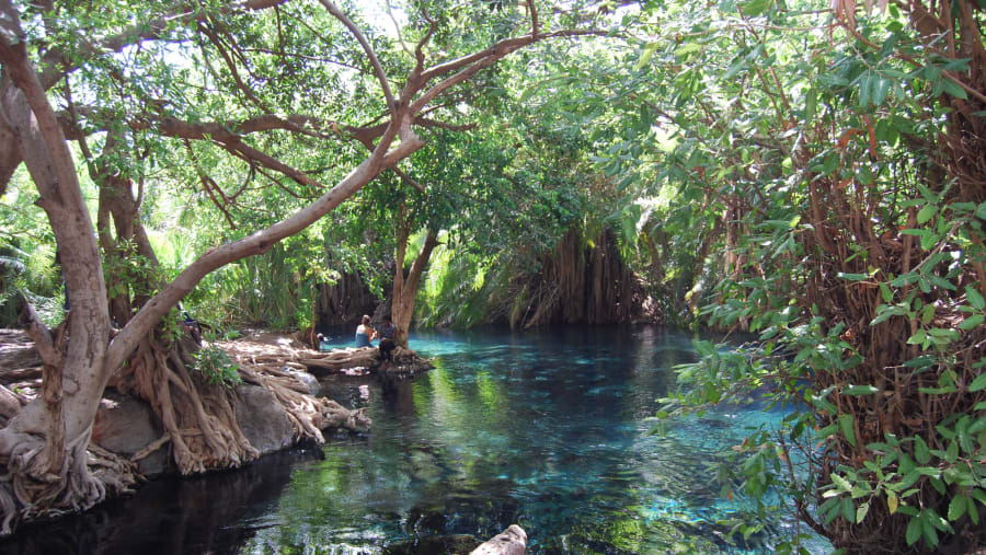 Kikuletwa Hot Springs, Tanzania