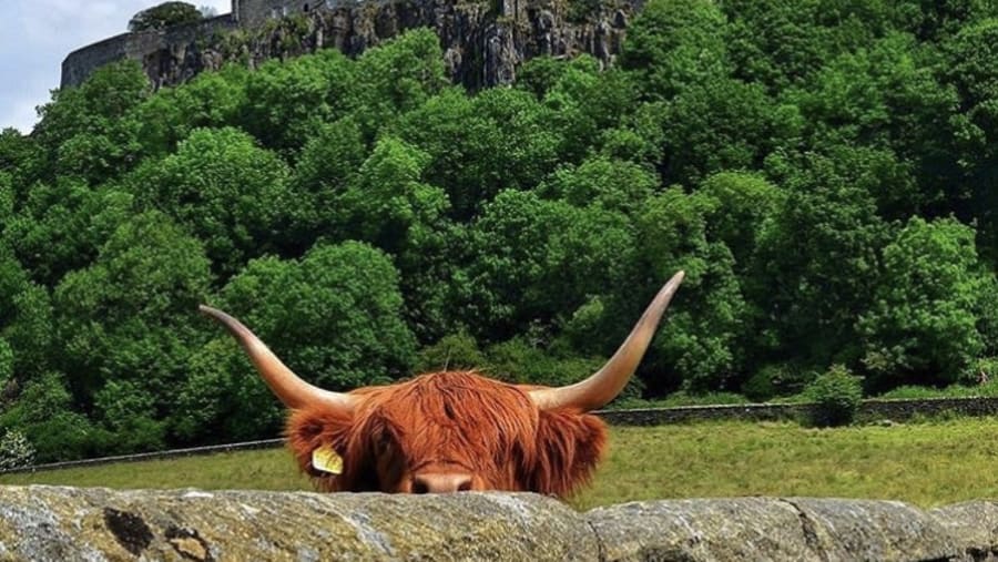 Stirling Castle, Stirling-Edinburgh