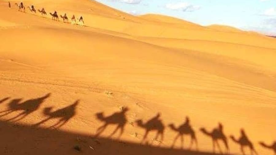 Desert Sand Dunes
