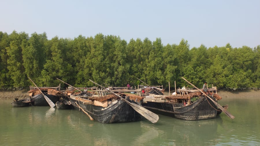 Sundarban Mangrove Forest