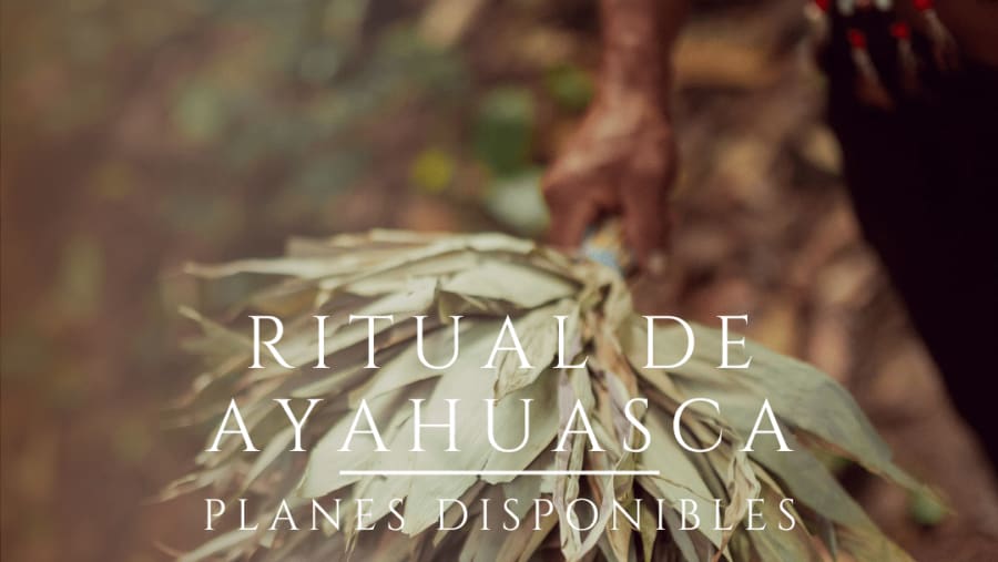 Ayahuasca Retreat