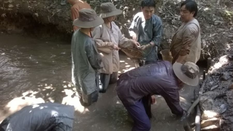 Cu Chi Tunnels