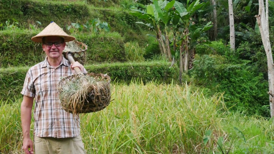 Tegalalang Rice Terrace