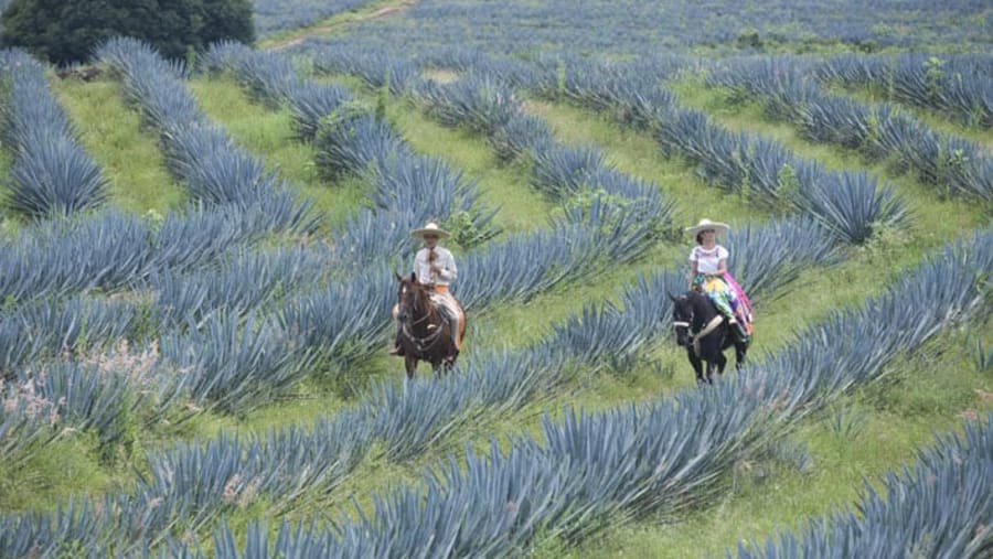 Locals usually move around on horseback.