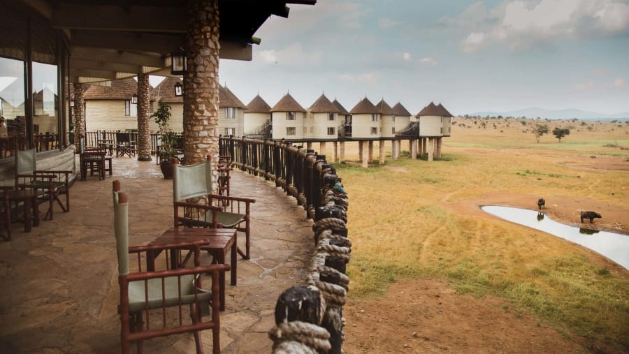 Salt Lick Safari Lodge