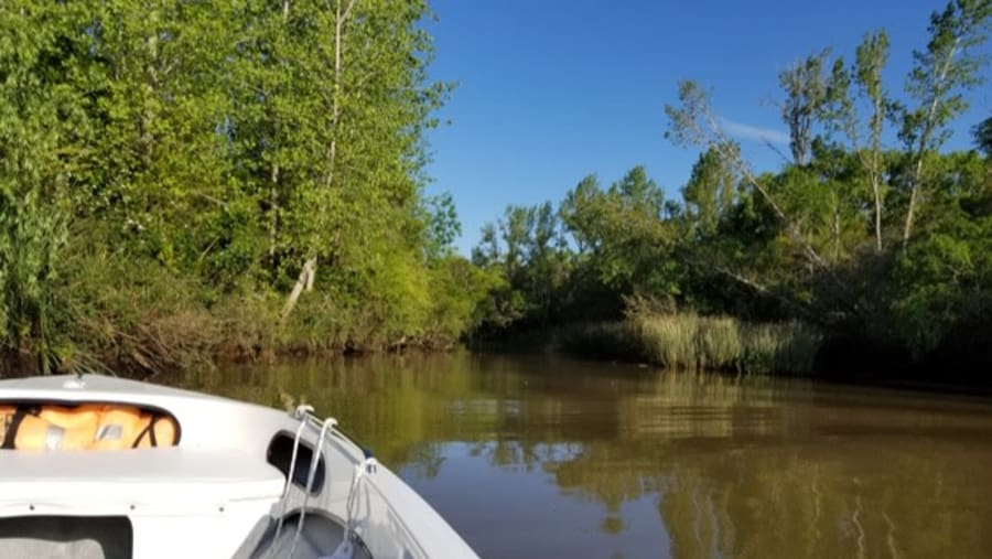 Tigre Delta In Buenos Aires, Argentina