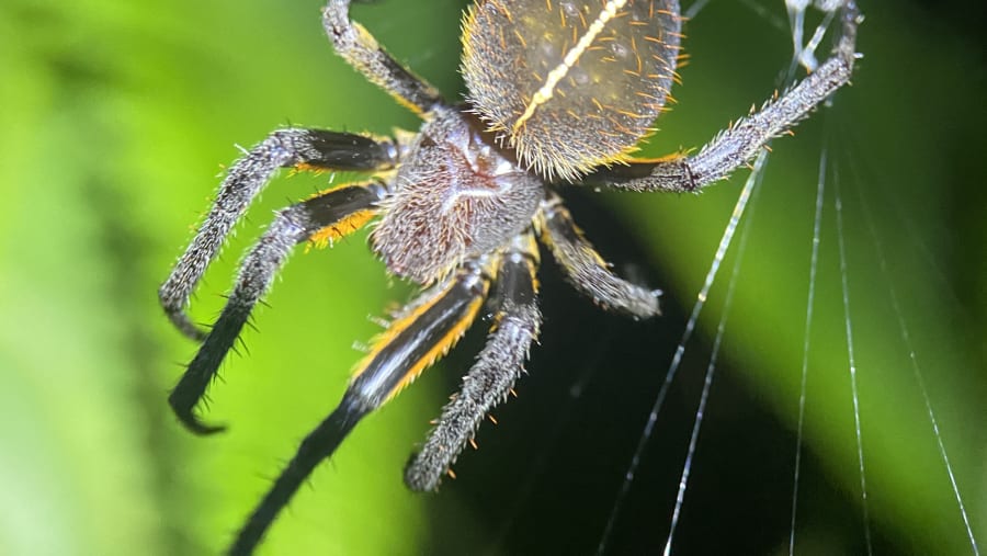 Marvel at up close animal experiences