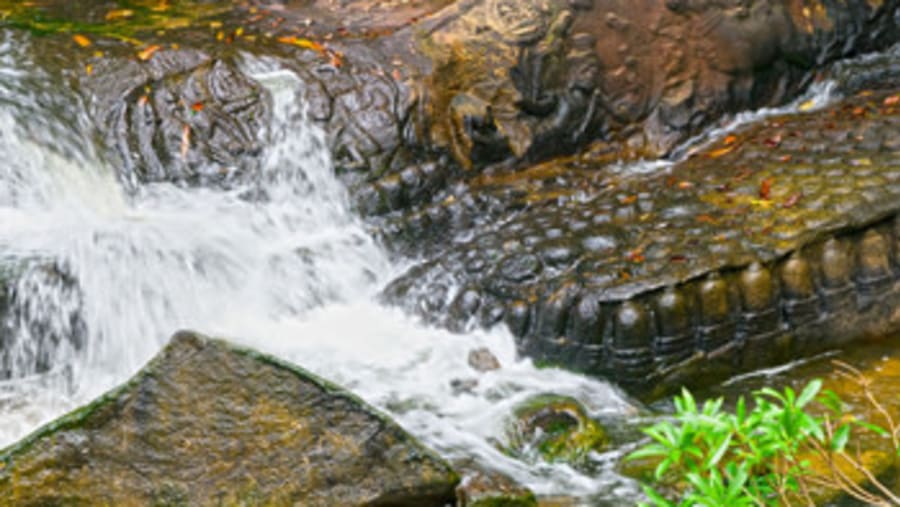 River of a Thousand Lingas