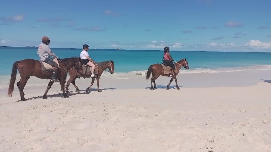 Horse Riding at the Fort James Beach