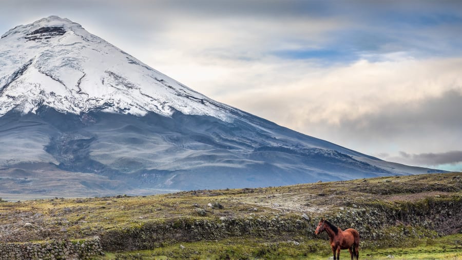 Cotopaxi