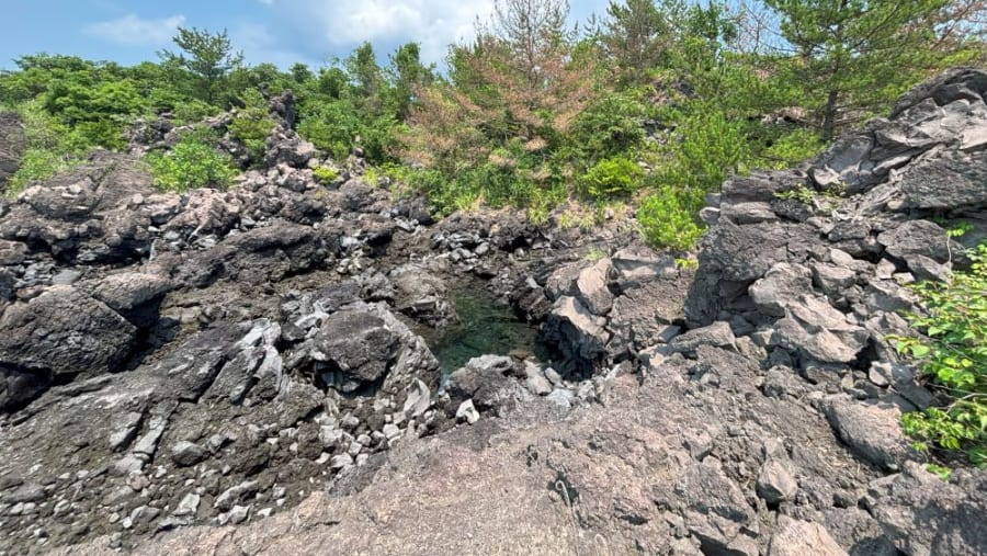 Lava boulders at Sakurajima.