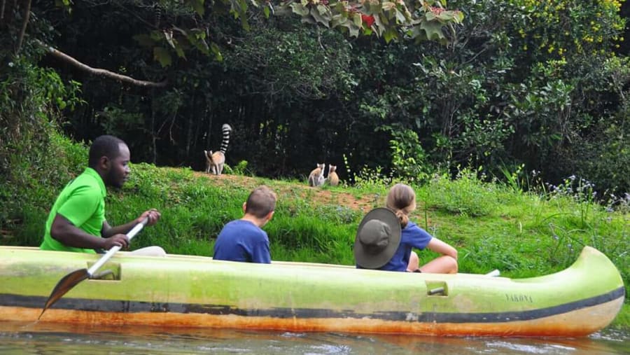 Primates in the Andasibe Park
