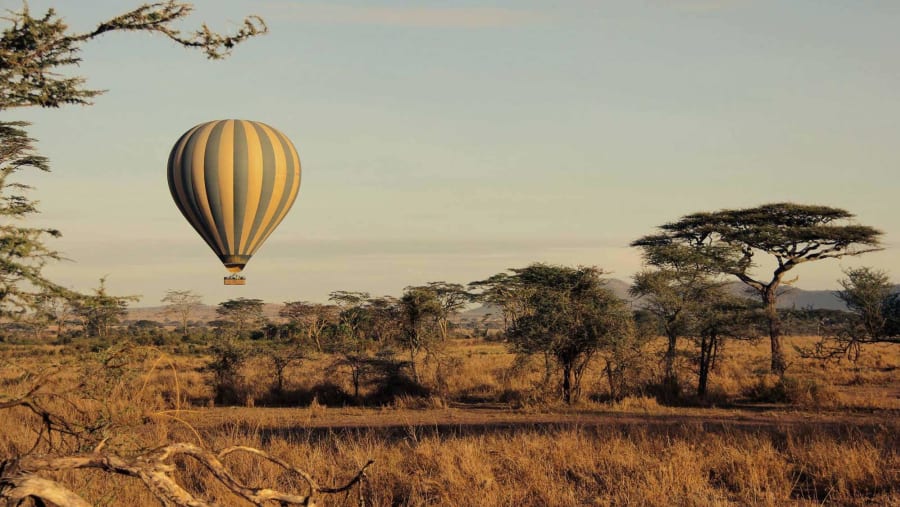Serengeti Plains