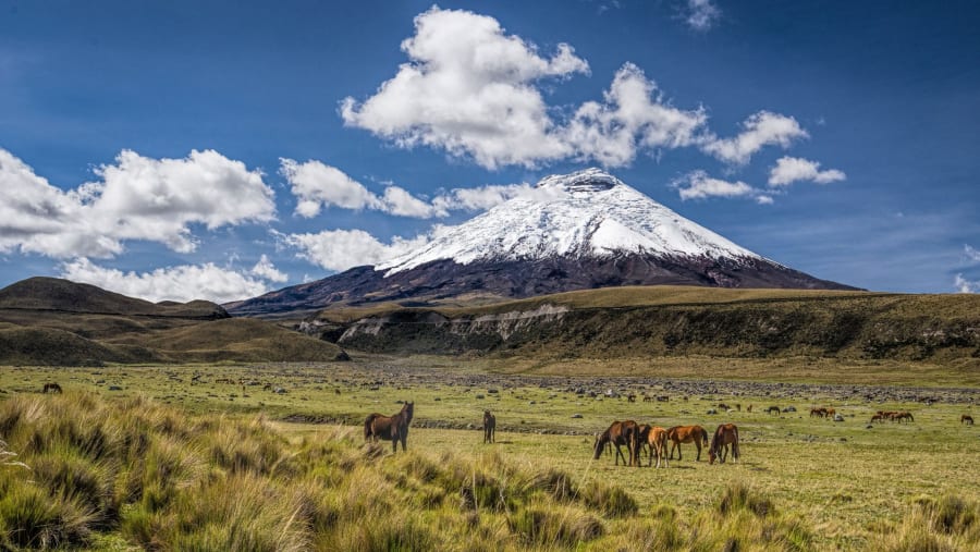 Parque Nacional Cotopaxi