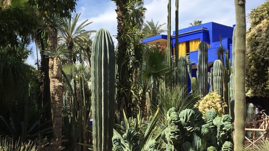 Majorelle Garden In Morocco