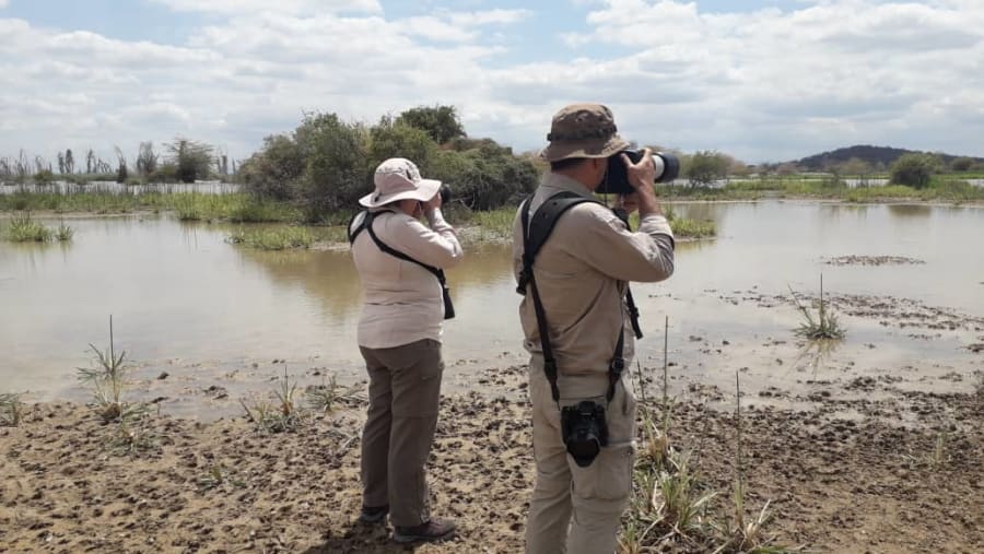 Go on Game drives
