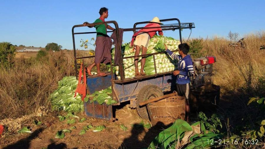 Villagers working in their farms