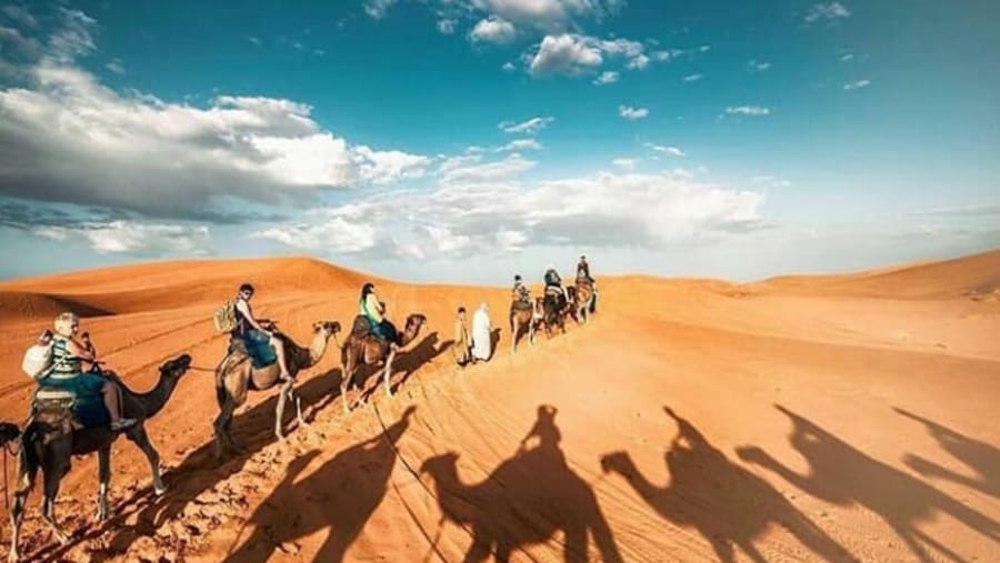 Camel Ride in Sahara Desert