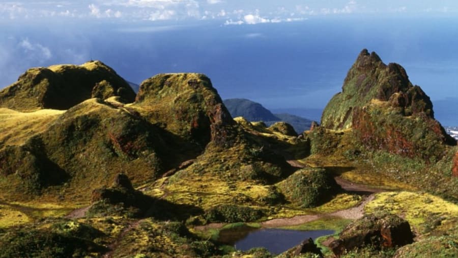 Trail tracks at la Soufrière