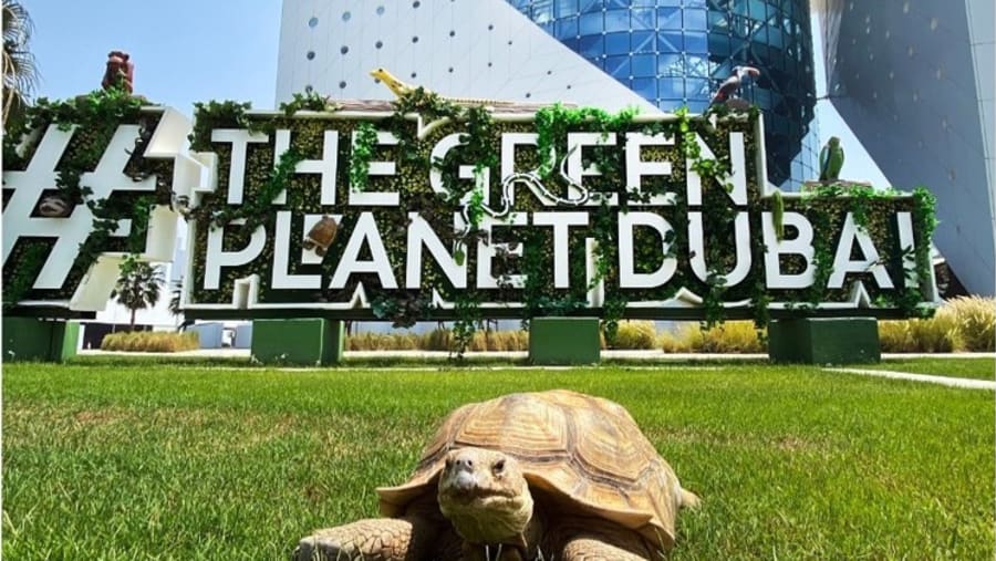 The Green Planet Dubai