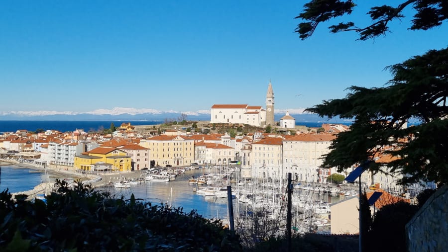 Socerb Castle and Piran