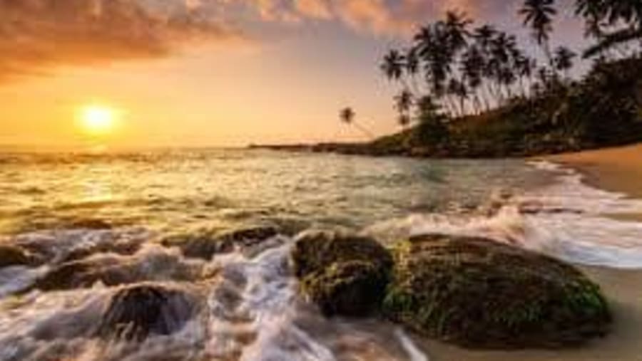 Enjoy sunset views