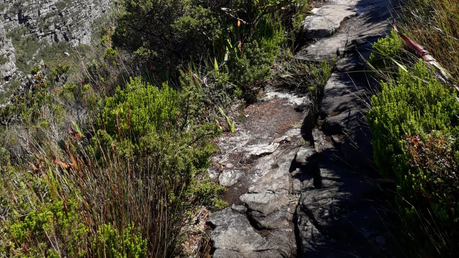 Trek to the Table Mountain