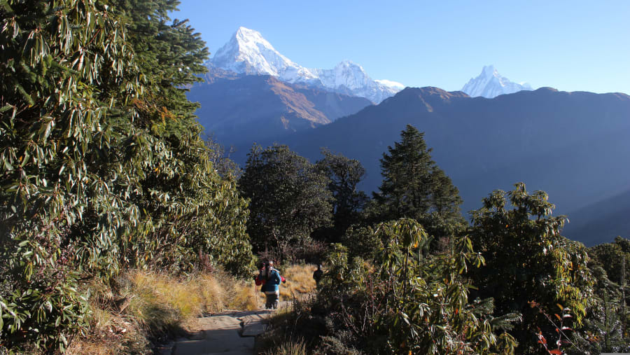 Poon Hill Trek