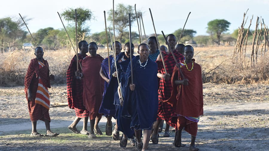 Maasai Tribe Members