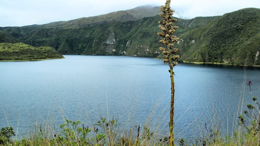 Cotacachi Landscapes View