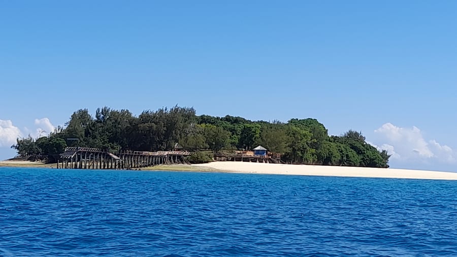 Visit Prison island, Zanzibar