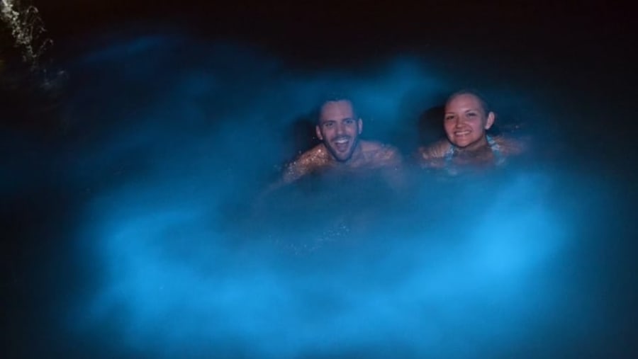 Luminous Lagoon