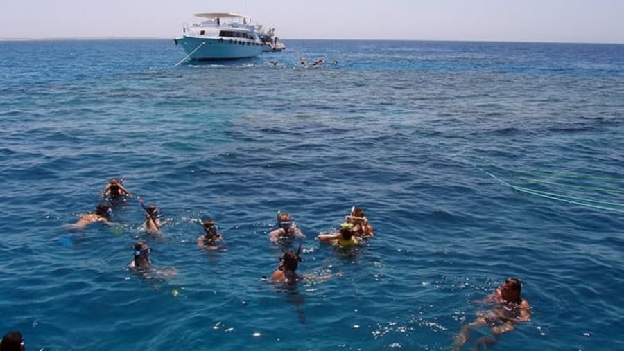 Diving in Ras Mohamed