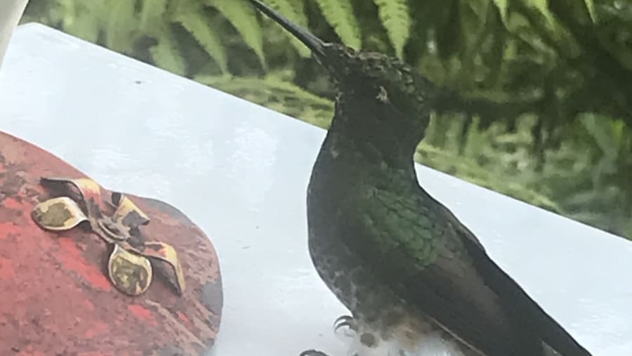 Ecuador main land