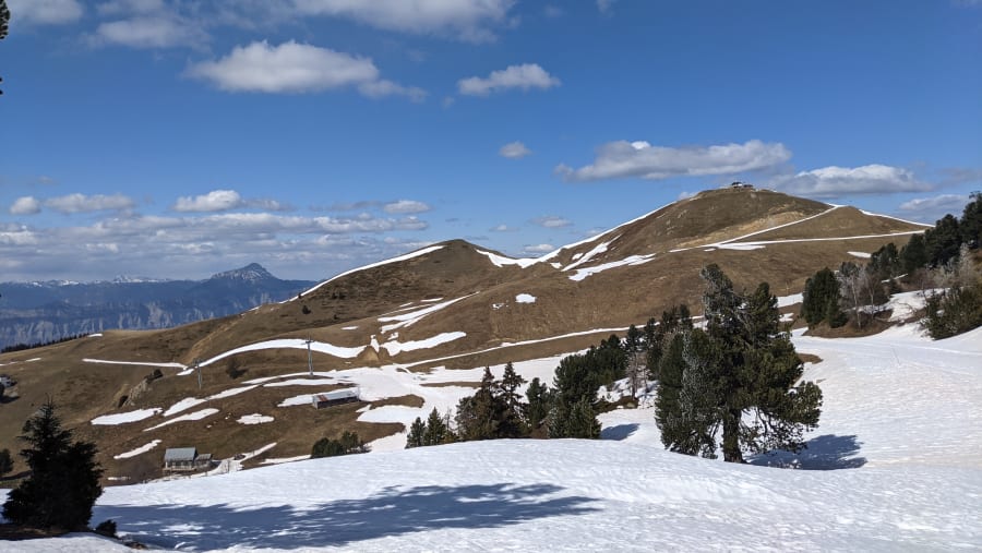 Birding with a wheelchair in Chamrousse