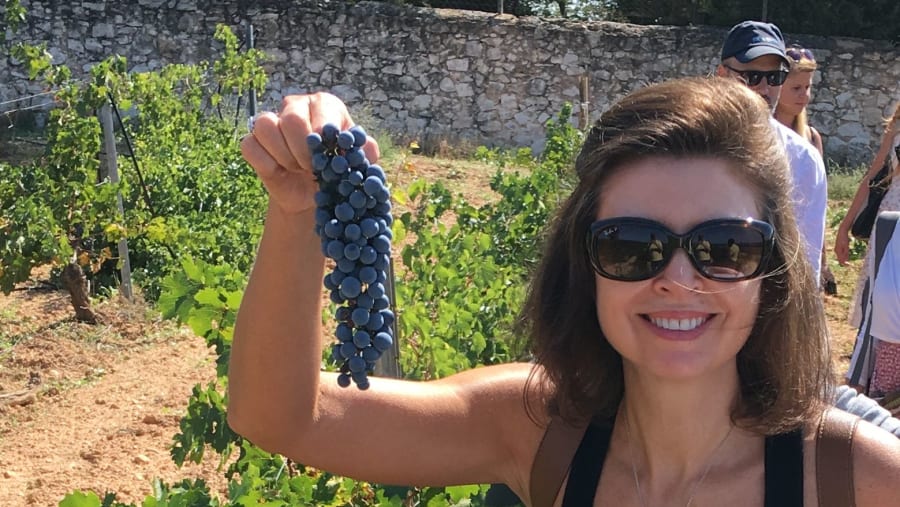 Wine Tour Valencia