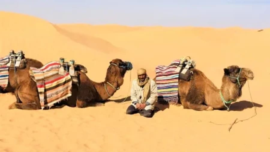 Desert Adventure