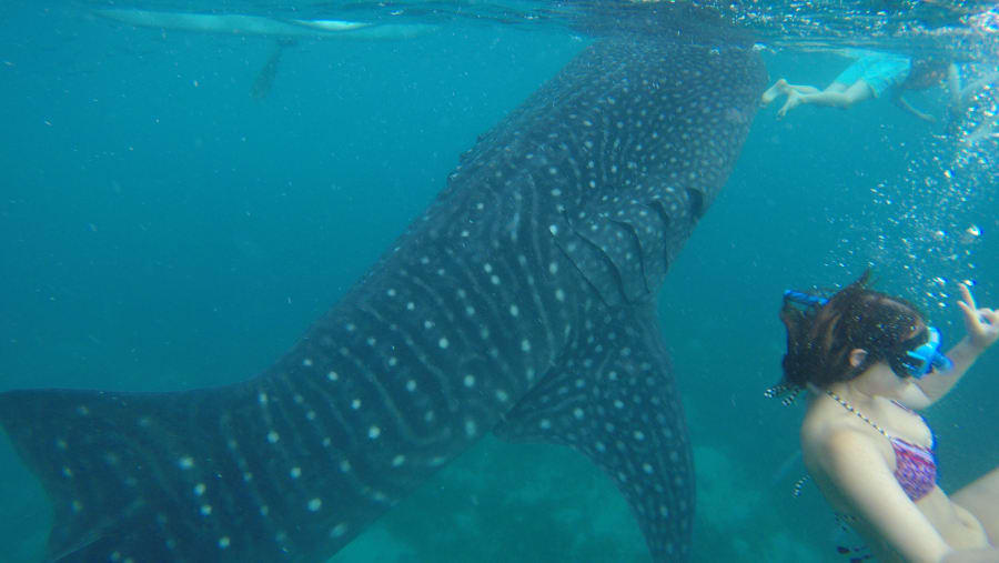 Snorkeling