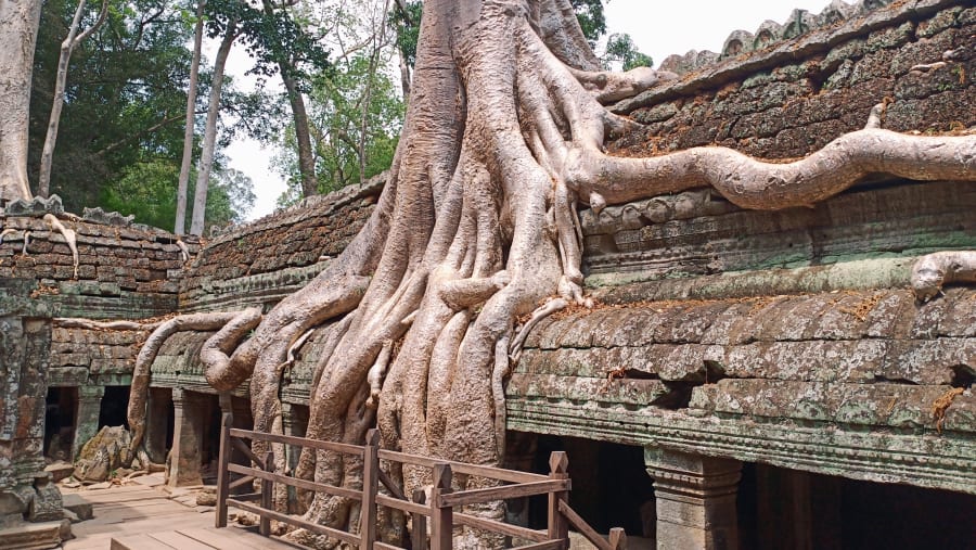 Ta Prohm