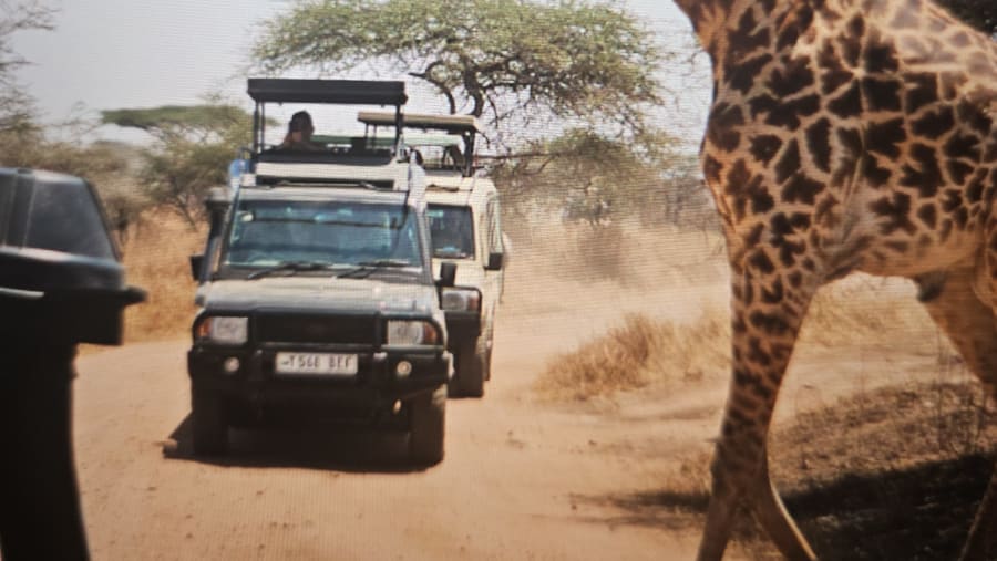 Embark on a fun jeep safari