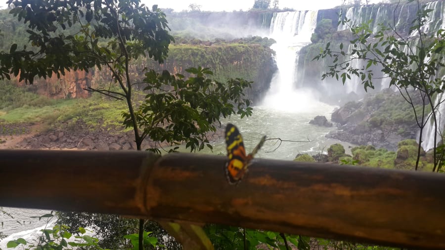 Iguaza Falls
