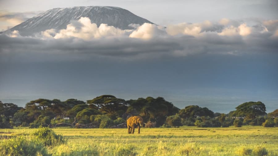 Amboseli National Park