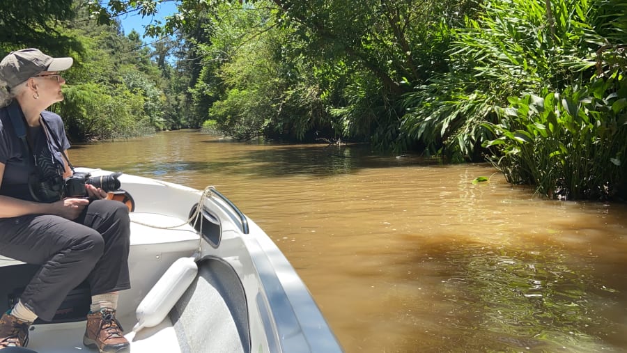 Tigre Delta In Buenos Aires, Argentina
