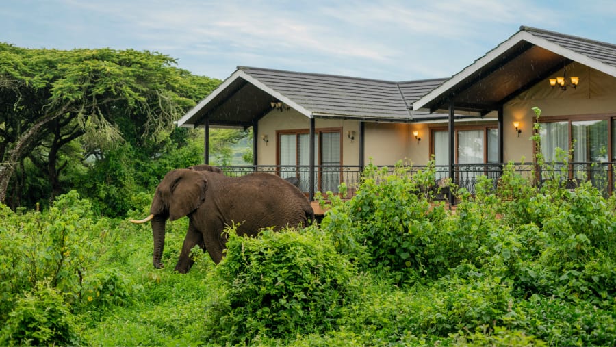 Tanzania Safari & Zanzibar Beach Holiday